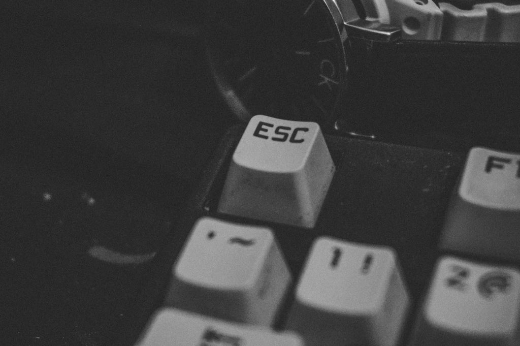 Stylish Kids and Elegant Accessories for Every Occasion