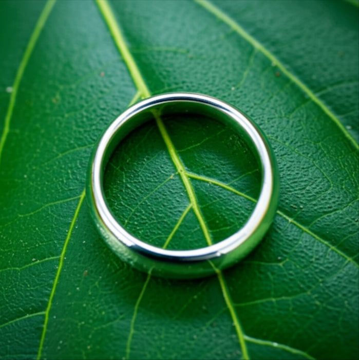 Sterling Silver Wedding Band 6mm-SW-02